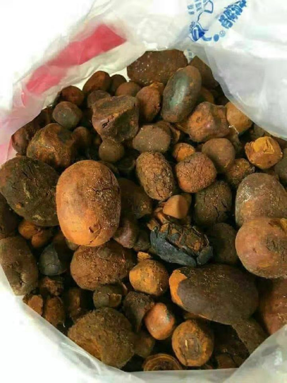 Ox Gallstone